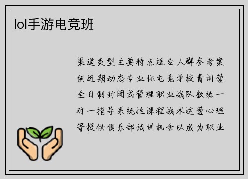 lol手游电竞班